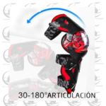 FLEXIBILIDAD1
