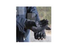 GUANTES CUERO ICON PURSUIT PERFORADO NEGRO.