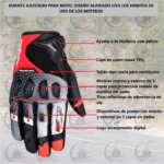 CARACT DORSO